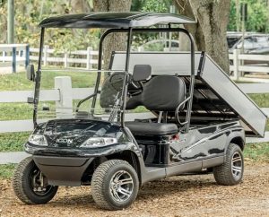 Icon golf cart problems
