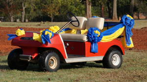 golf cart colors