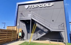 What is topgolf